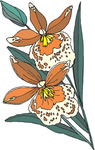 花
