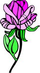玫瑰花