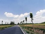 蓝天 白云 云朵 绿树 公路