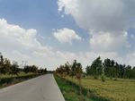 蓝天 白云 云朵 绿树 公路