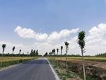 蓝天 白云 云朵 绿树 公路