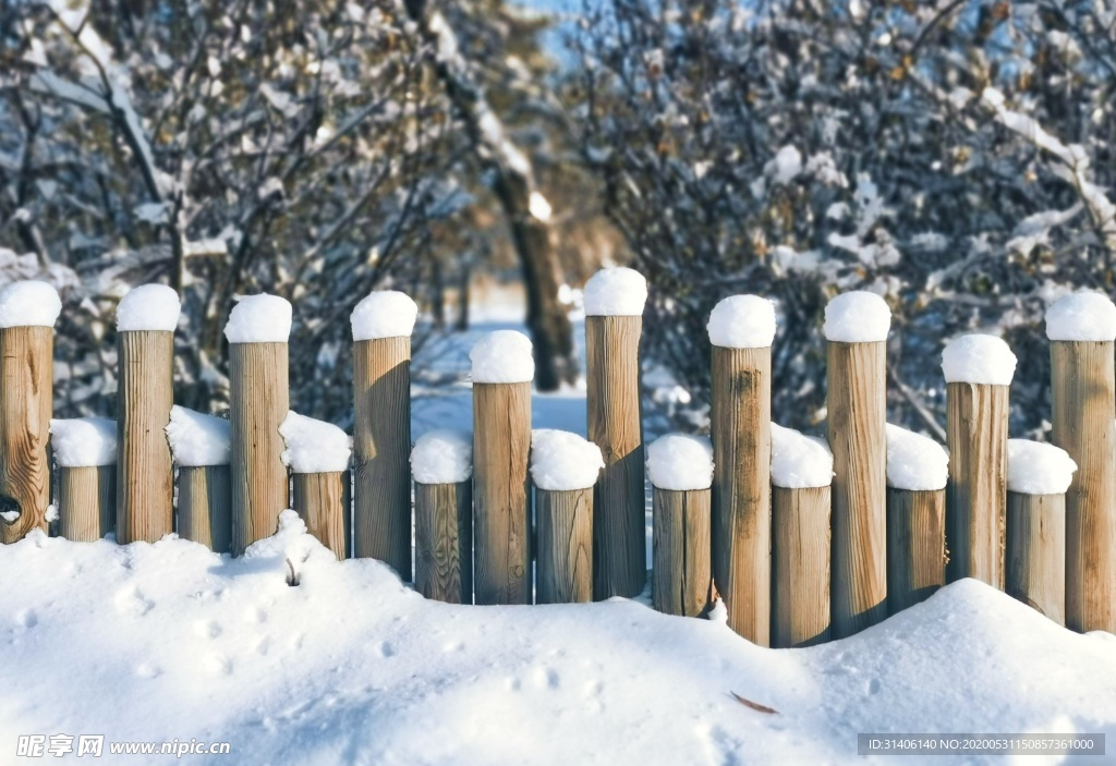 木桩雪图片