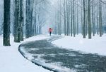 雪中道路图片