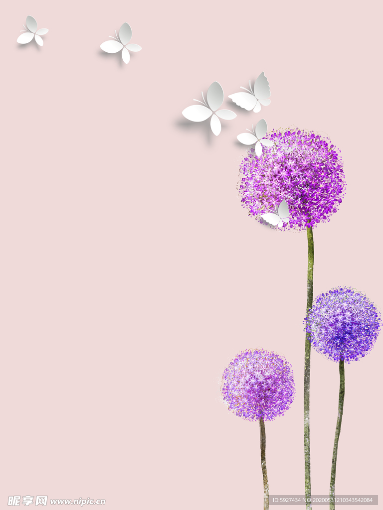 蒲公英