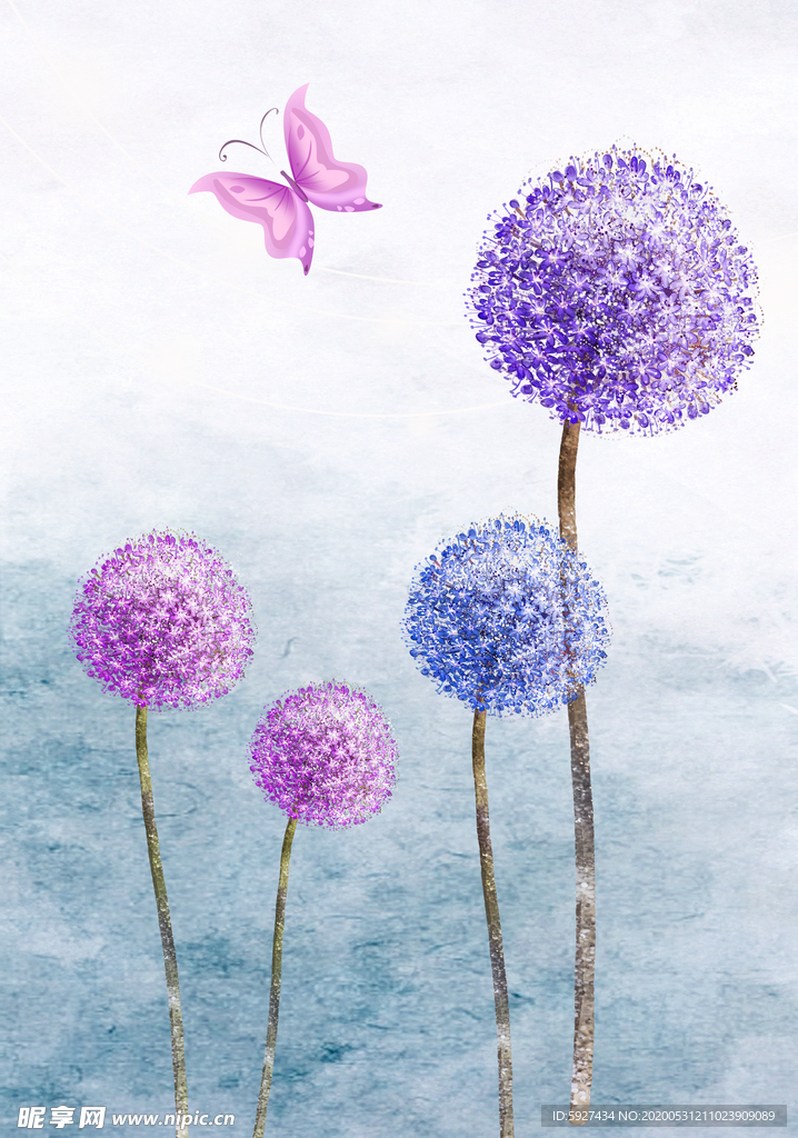 蒲公英