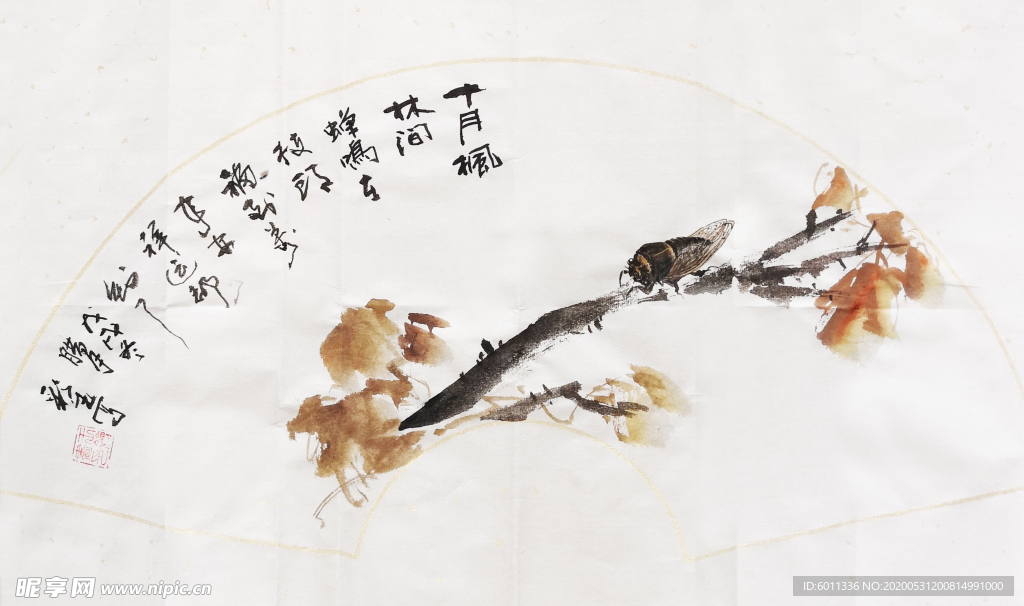 扇面