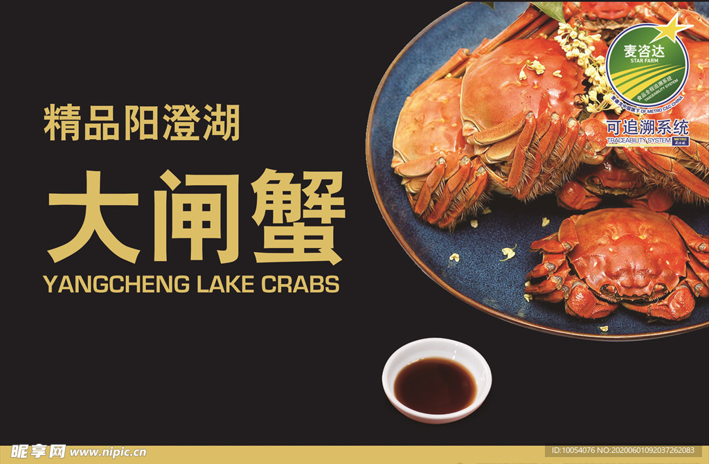 阳澄湖大闸蟹