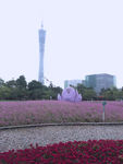 广州塔