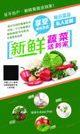 新鲜蔬菜