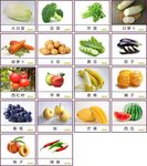 早教中心蔬菜水果卡片