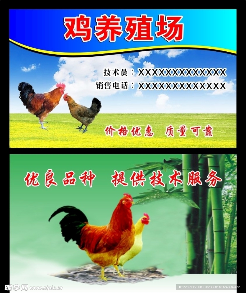 鸡养殖场名片