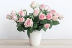 玫瑰花