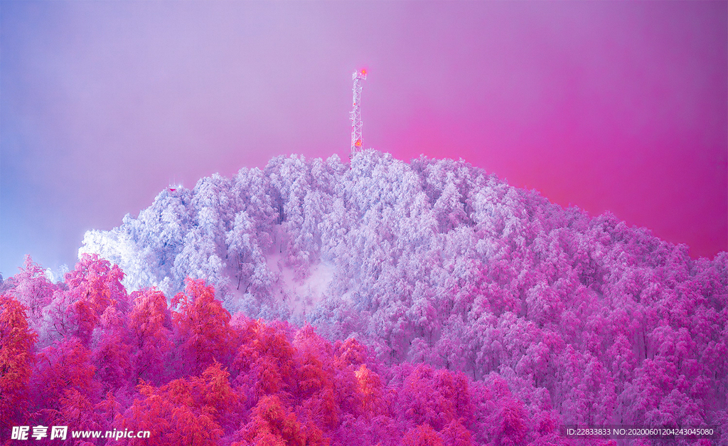 艺术装饰图 艺术 工艺 纯艺术