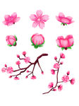 梅花素材
