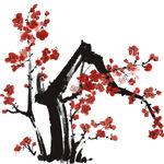 梅花素材