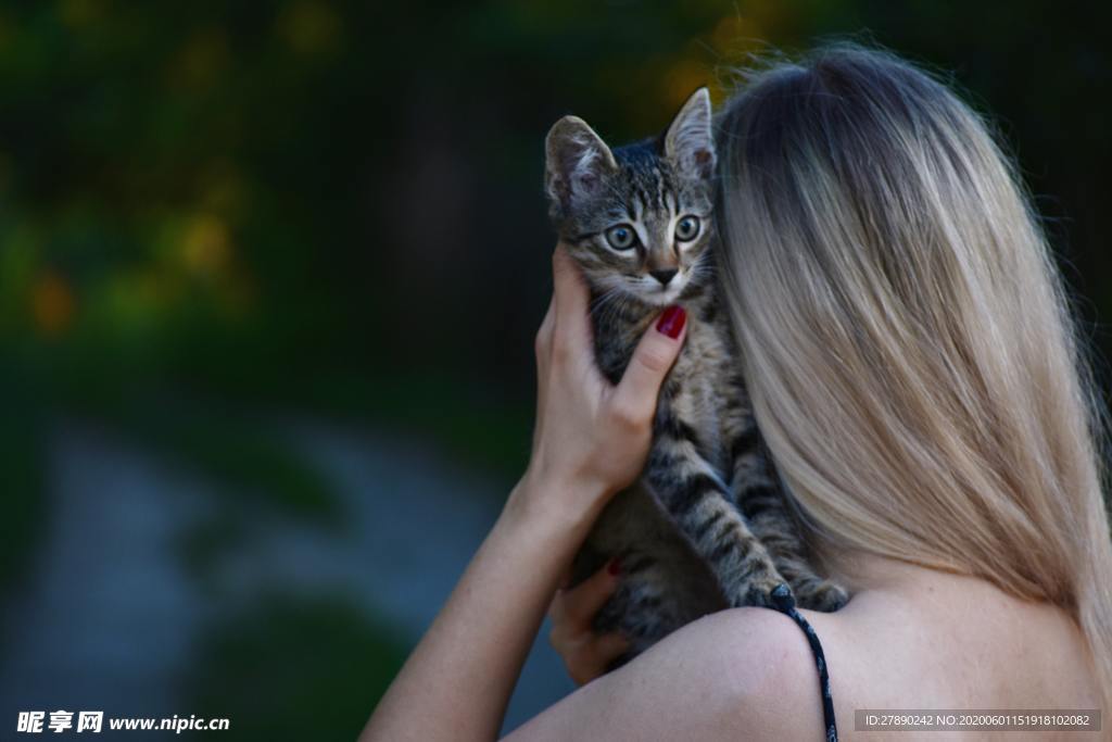 猫