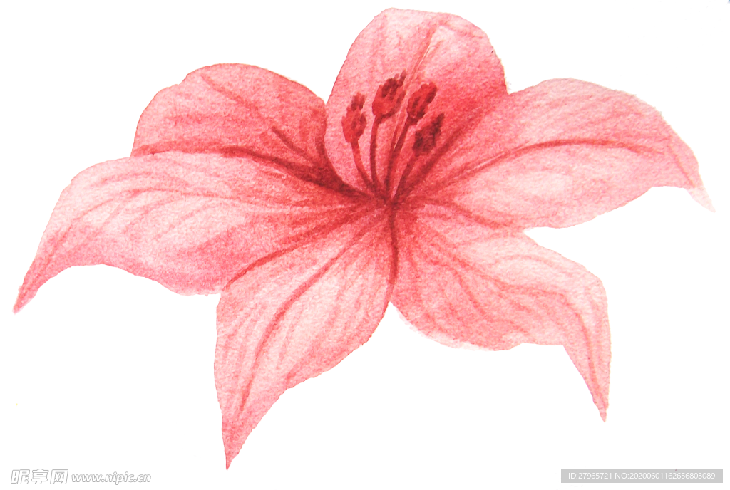 彩绘水彩花