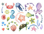 海洋生物