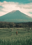 山草坪绿色平原山脉背景素材