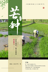 芒种节气农田绿色简约海报