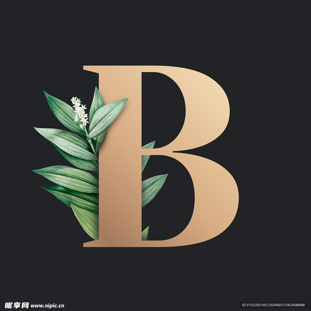 字母B 叶子