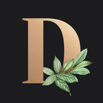 字母D 叶子