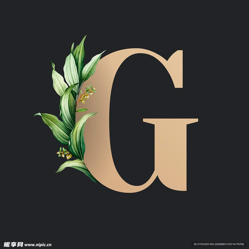 字母G 叶子