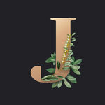 字母J 叶子