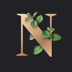 字母N 叶子