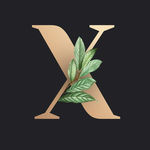 字母X 叶子