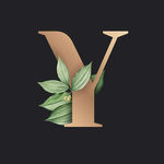 字母Y 叶子