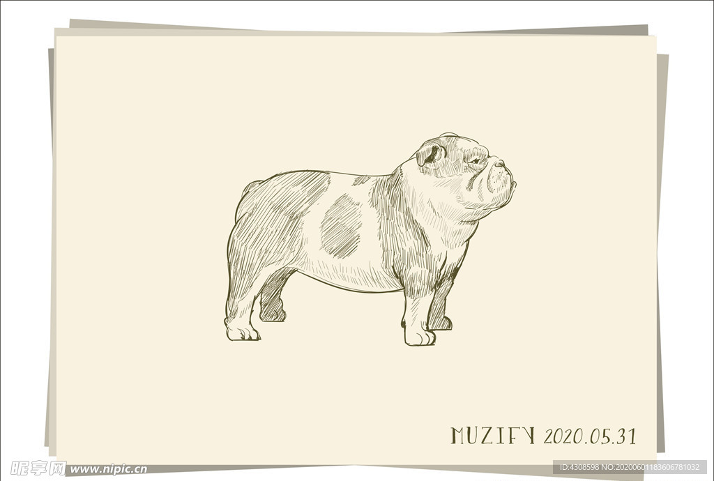 法国斗牛犬 素描画