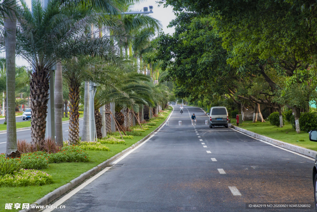 厦门道路 厦门风景 蓝天白云