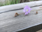 紫色小花