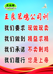 王良笨鸡公司训