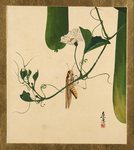 柴田是真版画