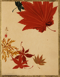 柴田是真版画