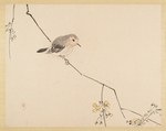 柴田是真版画