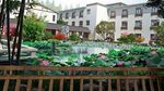 田园风采城市风貌