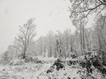 安顺雪景