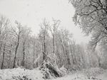 安顺雪景