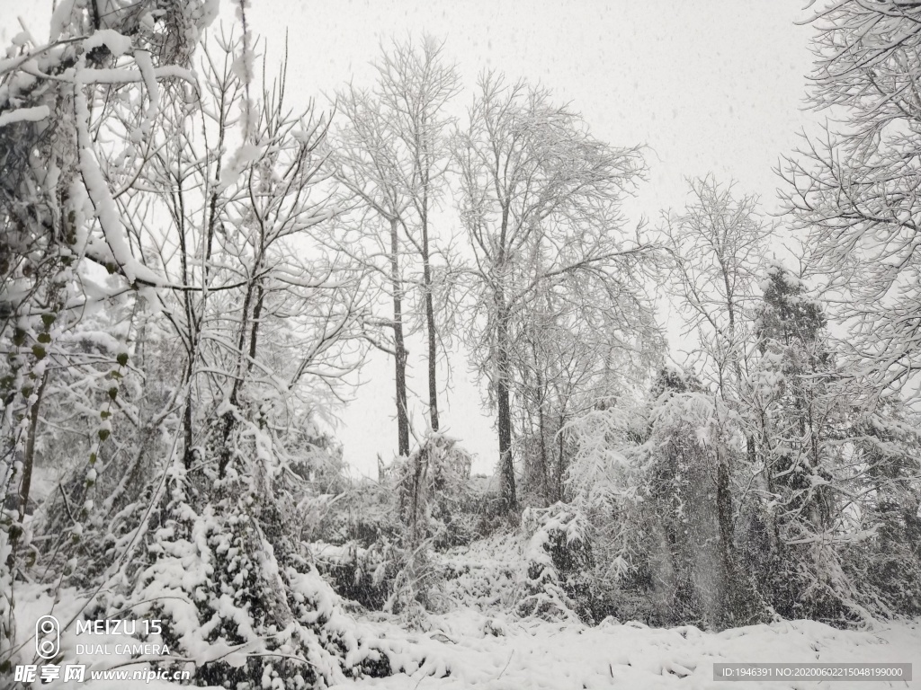 安顺雪景