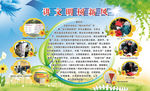 学校 中学 小学  讲文明 树
