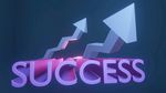 成功标志 success