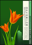 地产广告
