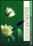 地产广告