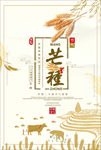 芒种