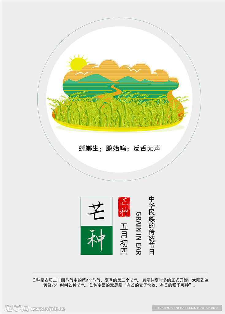芒种  芒种海报  二十四节气