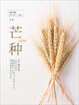 芒种  芒种海报  二十四节气