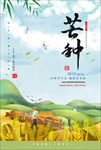 芒种  芒种海报  二十四节气